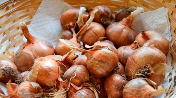 Las chalotas dan muy buen sabor a las salsas de carne. (Foto: Pixabay)