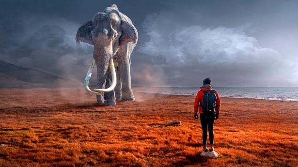 Nuestra vida se compone en gran parte de sueños... (Foto: Pixabay)