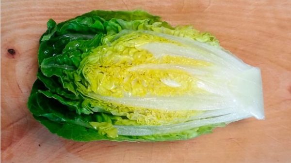 La verdura de hoja verde como en este caso los cogollos de Tudela