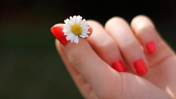 Un verdadero amigo es quien te toma la mano y te toca el corazón. (Foto: Pixabay)