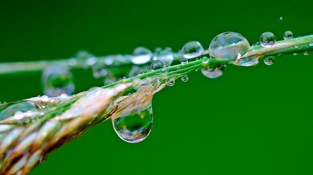 Hoy se celebra el Día Mundial del Agua. (Foto: Pixabay)