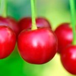 Estas cerezas también están ricas con un simple yogur natural. (Foto: ulleo/Pixabay)
