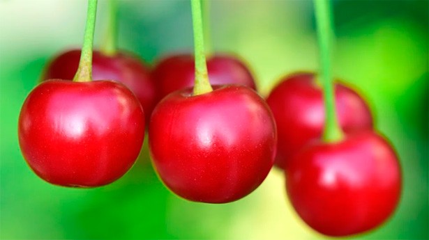 Estas cerezas también están ricas con un simple yogur natural. (Foto: ulleo/Pixabay)