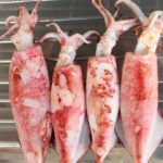 Calamares