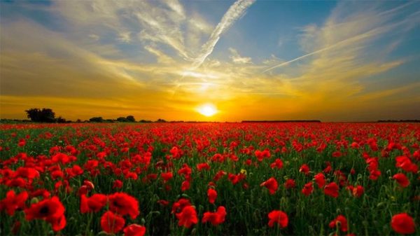 Nadie conoce la historia de la puesta de sol de mañana. (Foto: diego_torres/Pixabay)