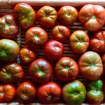 Tomates para ensalada o para rellenar. (Photo by Carolyn Baumel on Unsplash)