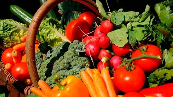 La menestra de verduras es el plato estrella de la casa.