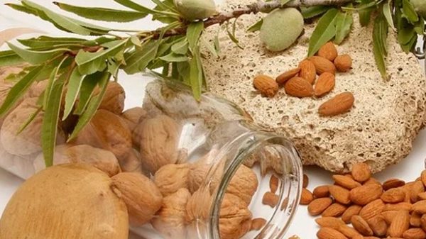 Frutos secos