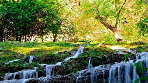 Exuberante naturaleja en un paraje único en Europa. (Foto: monasteriodepiedra.com)