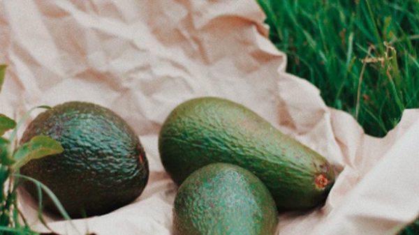 Aguacates maduros para una ensalada muy sana. (Photo by Dmytro Davydenko on Unsplash)