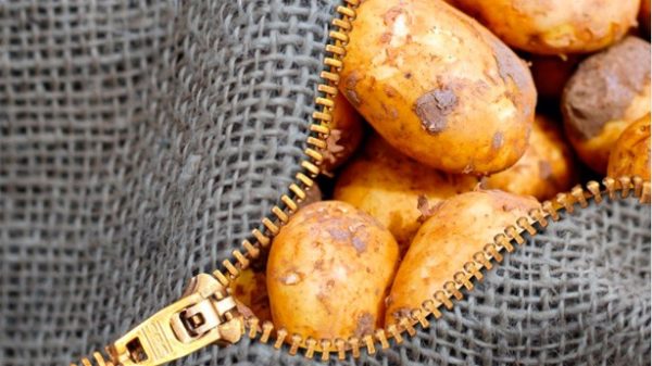 Las patatas sirven para muchas más cosas que para freír. (Foto: Momentmal/Pixabay)
