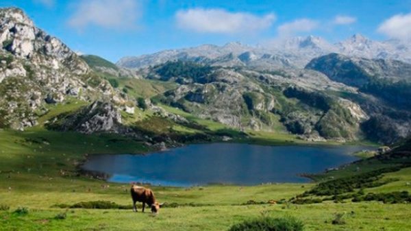 Lagos de Covadonga