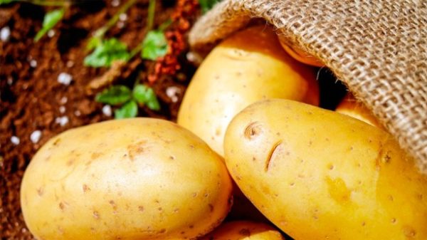 Patatas para preparar un rico puré con muchas cosas. (Foto: Pixabay)