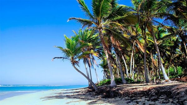 El Aeropuerto de Punta Cana
