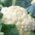 Coliflor