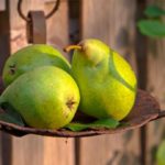 Las peras sirven para preparar ricos postres. (Foto: HelgaKa/Pixabay)