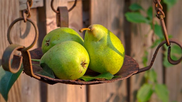 Las peras sirven para preparar ricos postres. (Foto: HelgaKa/Pixabay)