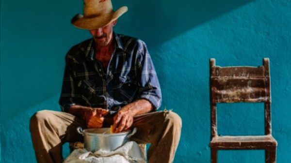 Cuban food stories