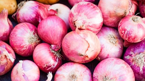 Cebolla rojas para una rica sopa. (Foto: balouriarajesh/Pixabay)