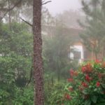 La neblina de los amigos. (Foto: EF)