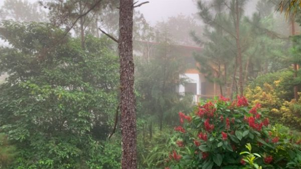 La neblina de los amigos. (Foto: EF)
