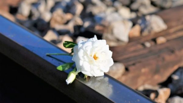 En conmemoración de las hermanas Mirabal. (Foto: GoranH/Pixabay)