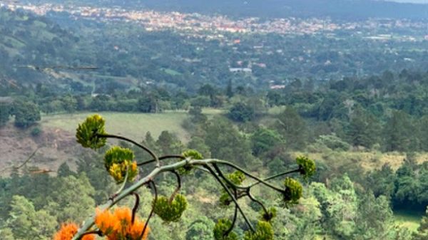 Cada vez que llego a Jarabacoa