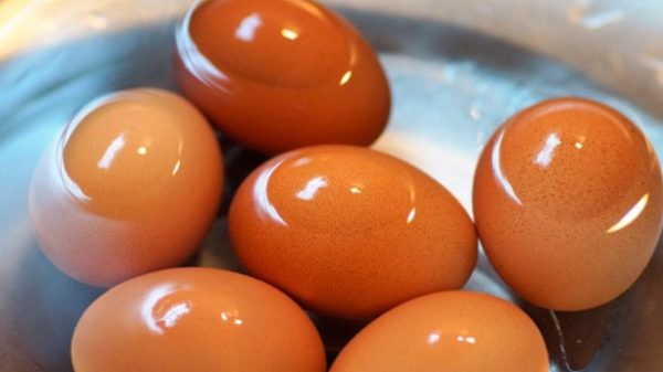 Huevos cocidos para un plato riquísimo. (Foto: ivabalk/Pixabay)