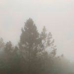 Densa neblina en La Loma de Thoreau. (Foto: EF)