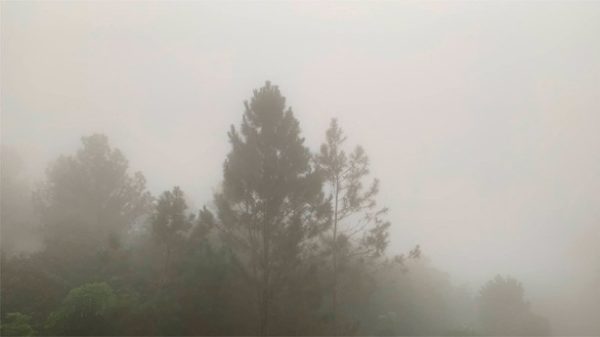 Densa neblina en La Loma de Thoreau. (Foto: EF)