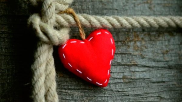 El amor es una criatura muy extraña