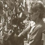 Mi abuela Atlántida. (Foto: EF)