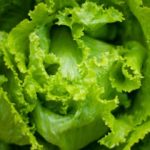 Los cogollos no son sólo para comer en ensalada.