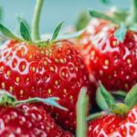Fresas para una buena macedonia. (Photo by Jez Timms on Unsplash)