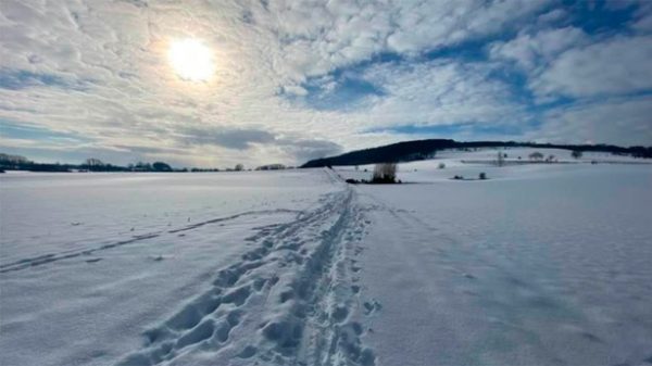 Carpe diem. (Foto: Dagmar Laubsch)