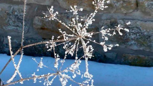 El gran libro de la naturaleza está escrito en símbolos matemáticos. (Foto: Dagmar Laubsch)