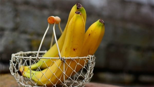 Los plátanos permiten muchas preparaciones. (Foto: Pixabay)