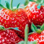 Las fresas no sólo se toman con nata. (Photo by Jez Timms on Unsplash)