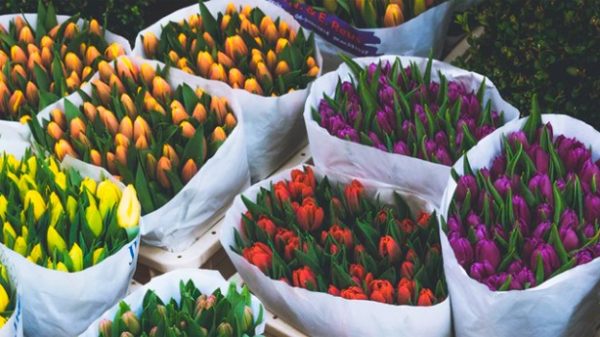Preparando el Domingo de Pascua. (Photo by Anastasia Zhenina on Unsplash)