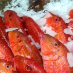 Salmonetes ricos y sanos. (Foto: Pixabay)