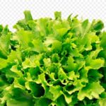 Una ensalada diferente. (Foto: Pixabay)