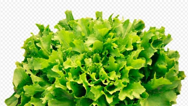 Una ensalada diferente. (Foto: Pixabay)
