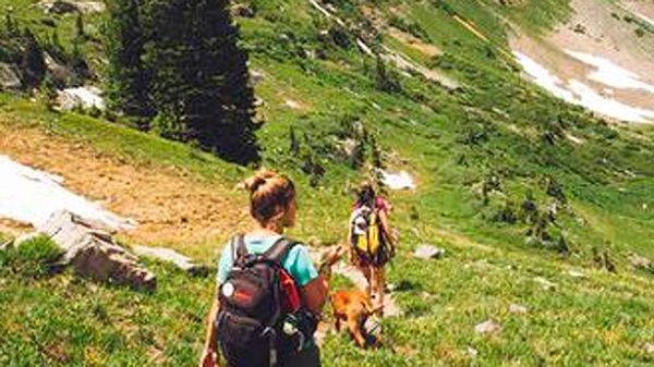 Estar rodeados de zonas verdes mantiene nuestra mente en paz y calma. (Foto: Pixabay)