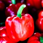 Pimientos rojos para un plato riquísimo. (Photo by Vishang Soni on Unsplash)