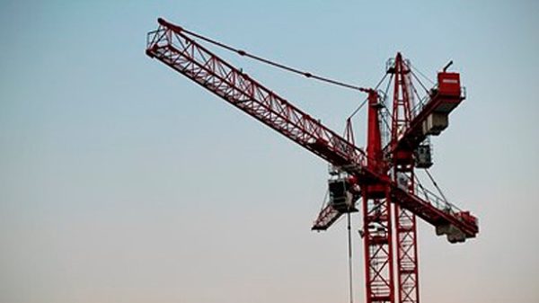 las garras automáticas de elevación están transformando el mercado. (Foto: UN)