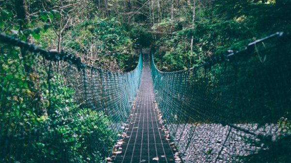 El puente sólo se repara cuando alguien se cae al agua. (Foto: Pixabay)