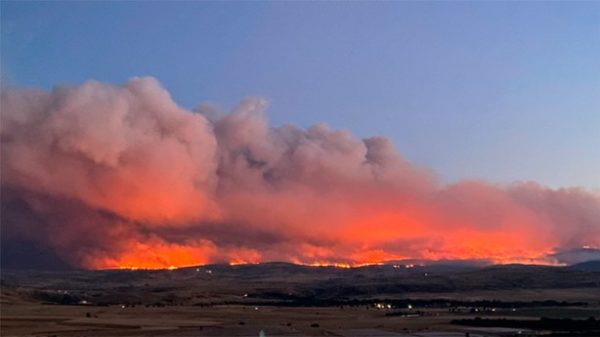 El incendio de Navalacruz se ha convertido en uno de los peores de las últimas décadas en Ávila. (Foto: @INFOCYL/Twitter)