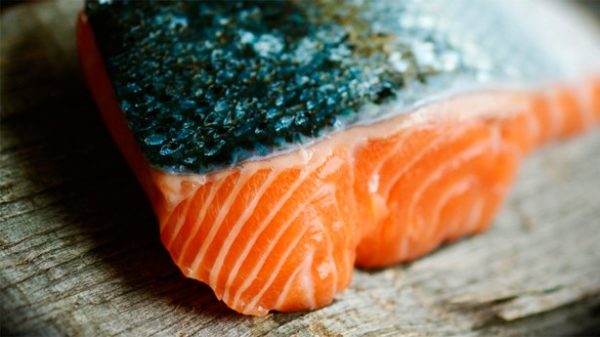 Salmón
