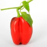 Pimientos rojos y gorditos