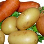 Zanahorias